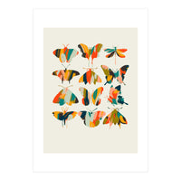 Colorful Butterflies (Print Only)