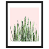 Botanical Balance thumbnail
