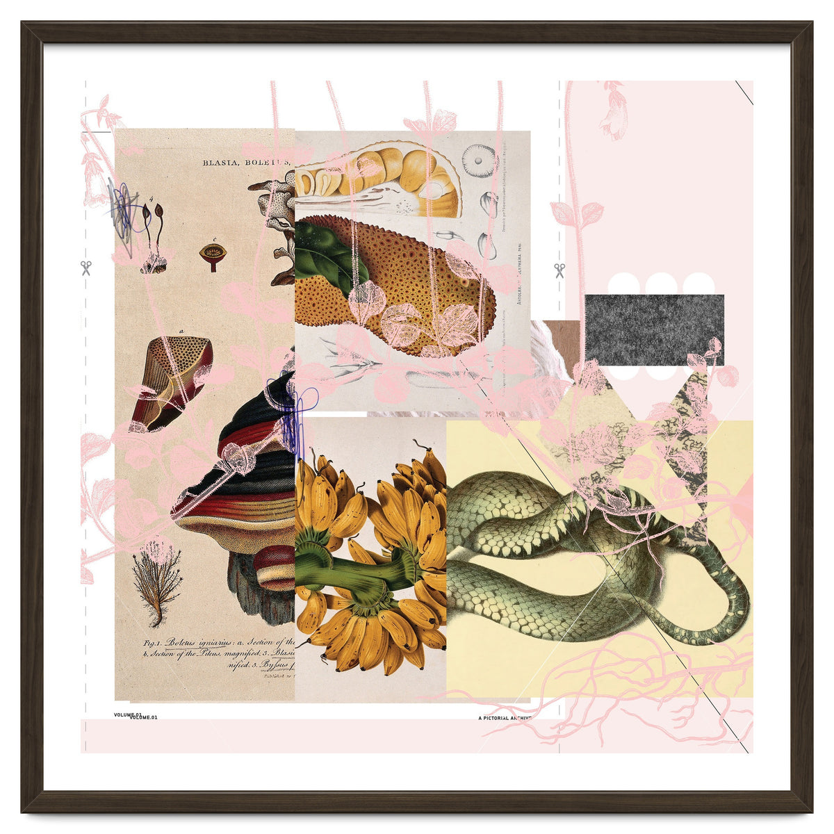 Abstract White Daydream Flower