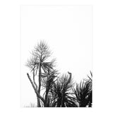 Miminalist Palm (Print Only) thumbnail