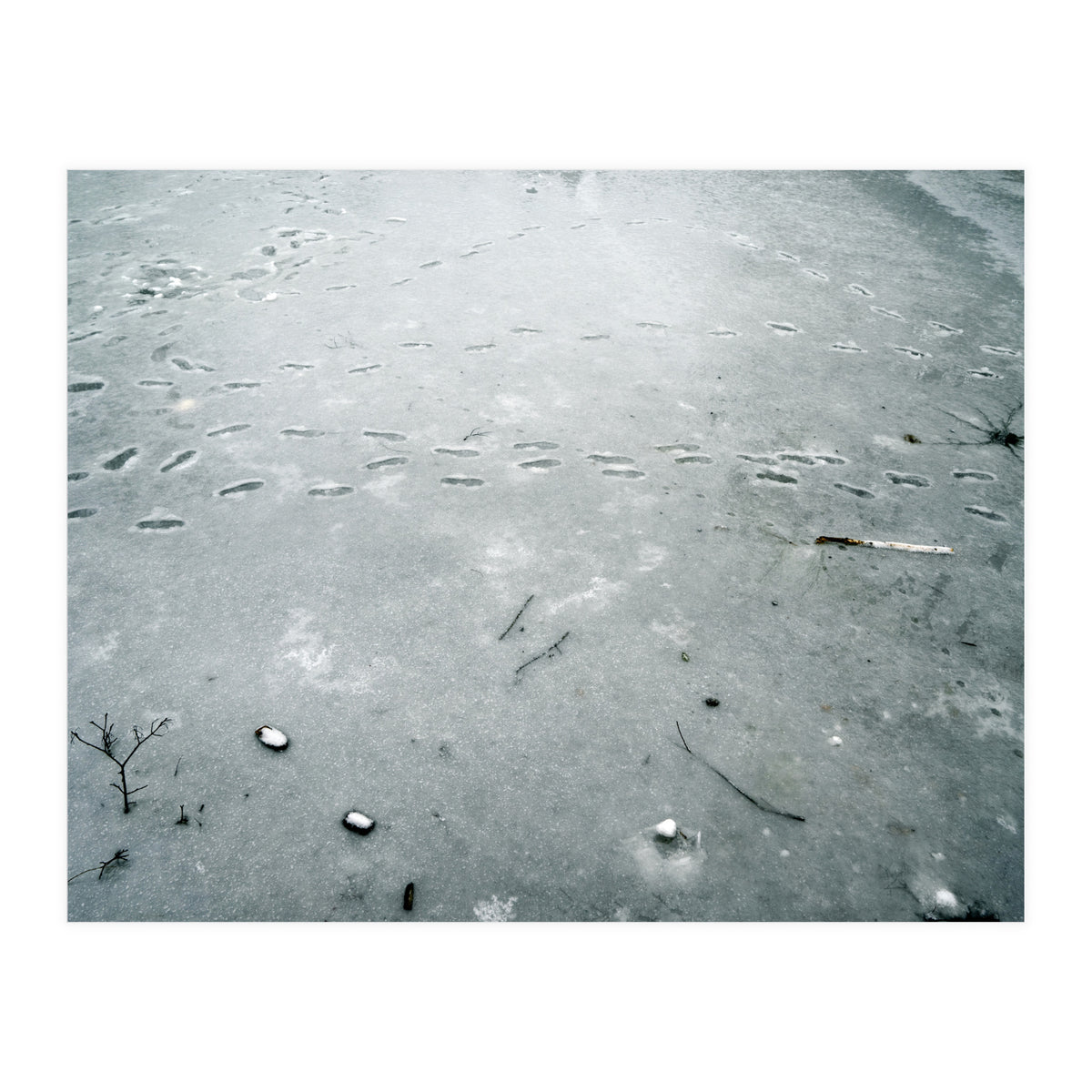 Frozen ice pond (Print Only)