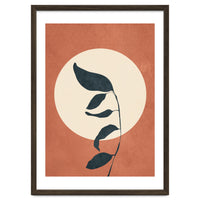 Summer Leaves