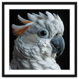 White Cockatoo Parrot With Orange Crest thumbnail
