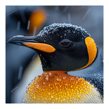 King Penguin Close Up In Snowfall (Print Only) thumbnail