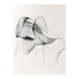Abstract Black And White Flowing Lines Art (Print Only) thumbnail