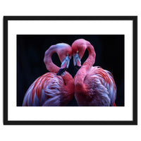 Two Pink Flamingos Forming A Heart Shape