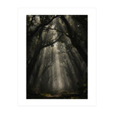 Enchanted Canopy: Mystical Forest Path (Print Only) thumbnail