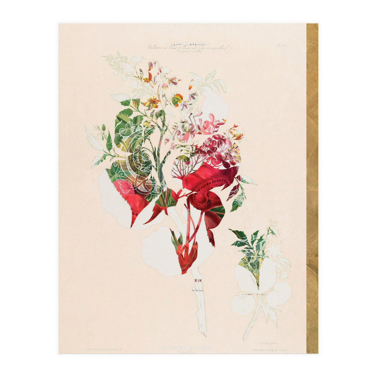 The First Plant · Aufbluehen (Print Only)