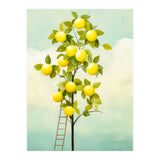 Lemon Tree  (Print Only) thumbnail