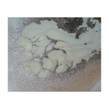 Shifting (Print Only) thumbnail