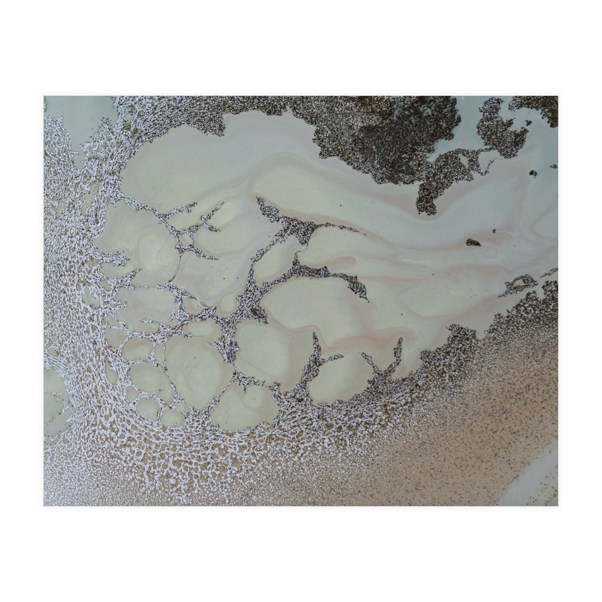 Shifting (Print Only)