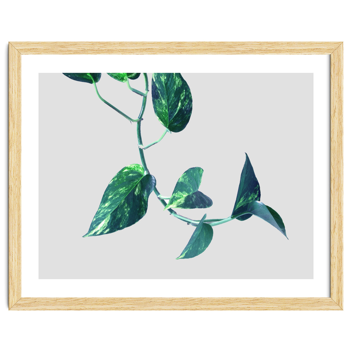 Projection & Emotion