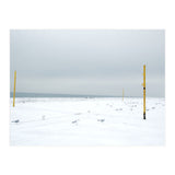 Seagulls in between the volleyball poles in winter snow beach (Print Only) thumbnail