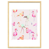 Flamingo Formation thumbnail