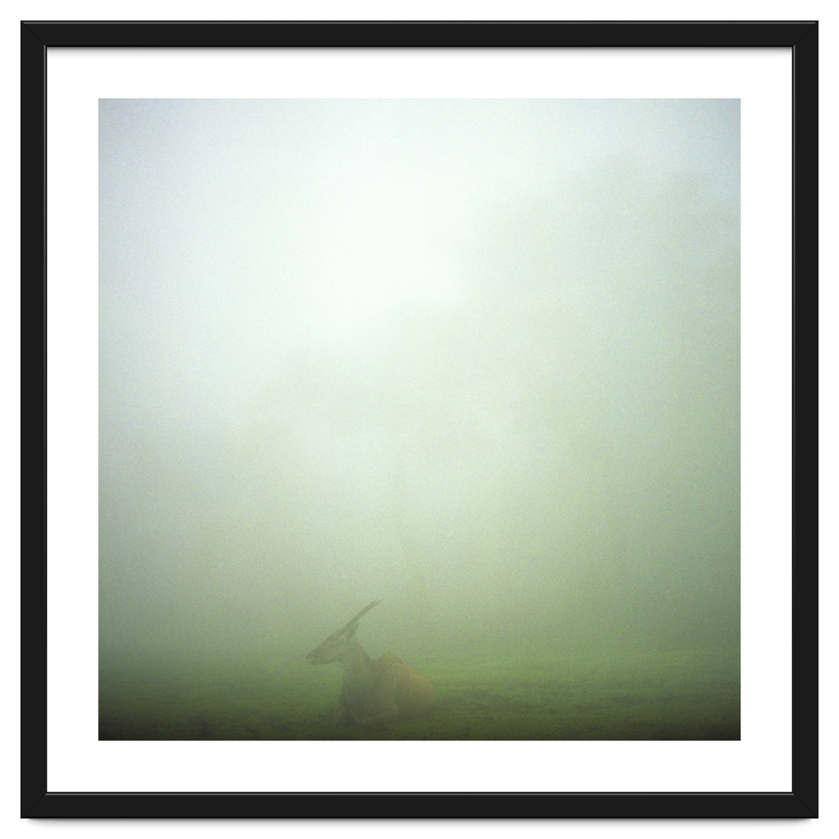 Silence of breath - 06