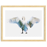 Swan thumbnail
