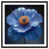 Meconopsis | Sapphire Serenade thumbnail
