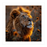 Majestic Lion In A Field Of Sunflowers (Print Only) thumbnail