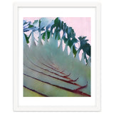 Palm Springs thumbnail