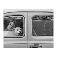 Dogs' cab (Print Only)