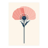 Pink Half Poppy (Print Only) thumbnail