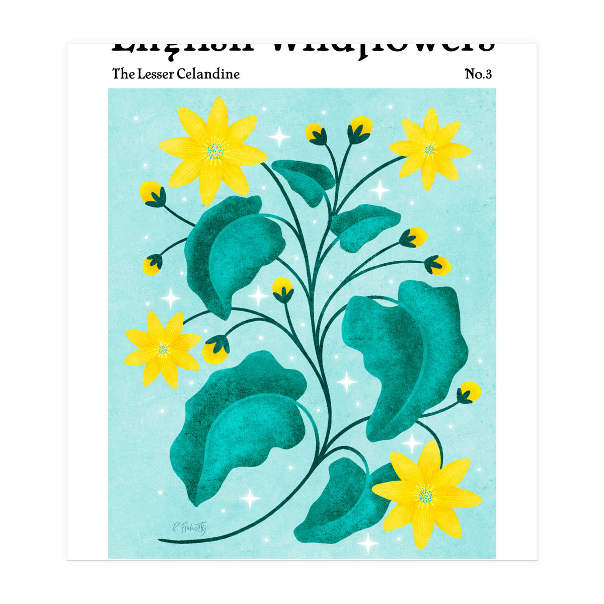 English Wildflowers | Lesser Celandine (Print Only)