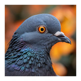 Close Up Of A Pigeon's Head And Neck (Print Only) thumbnail