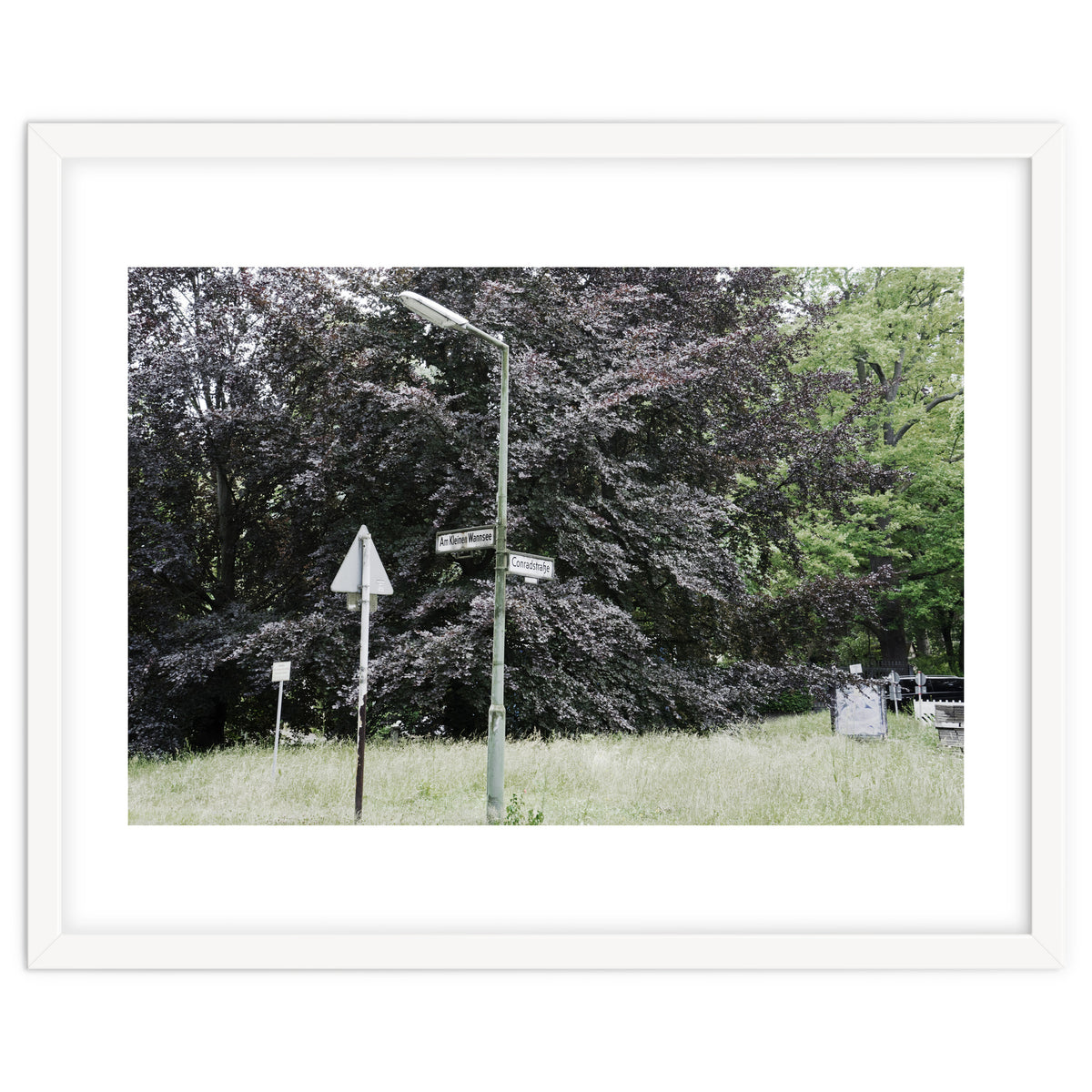 Signs at the corner of the street