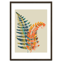 Colorful Fern Leaves