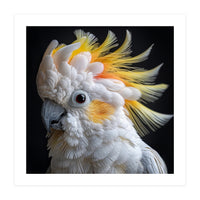 Beautiful Cockatoo Parrot Portrait Headshot (Print Only)