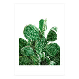Velvet Cactus | Watercolor Botanical Plants | Minimal Boho Scandinavian Painting (Print Only) thumbnail