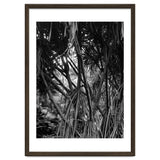 Black Tectorius Plant Art thumbnail