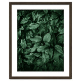 New Foliage Green Ii thumbnail
