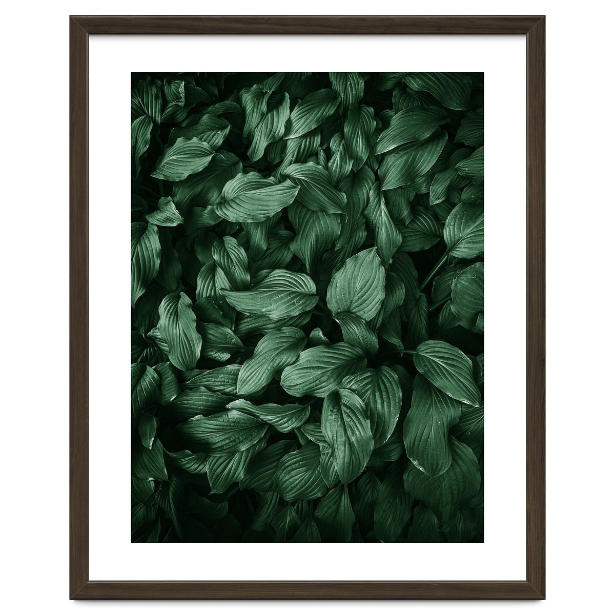 New Foliage Green Ii