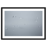 Flying seagulls in the winter sky thumbnail