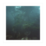Silence of breath - 12 (Print Only) thumbnail