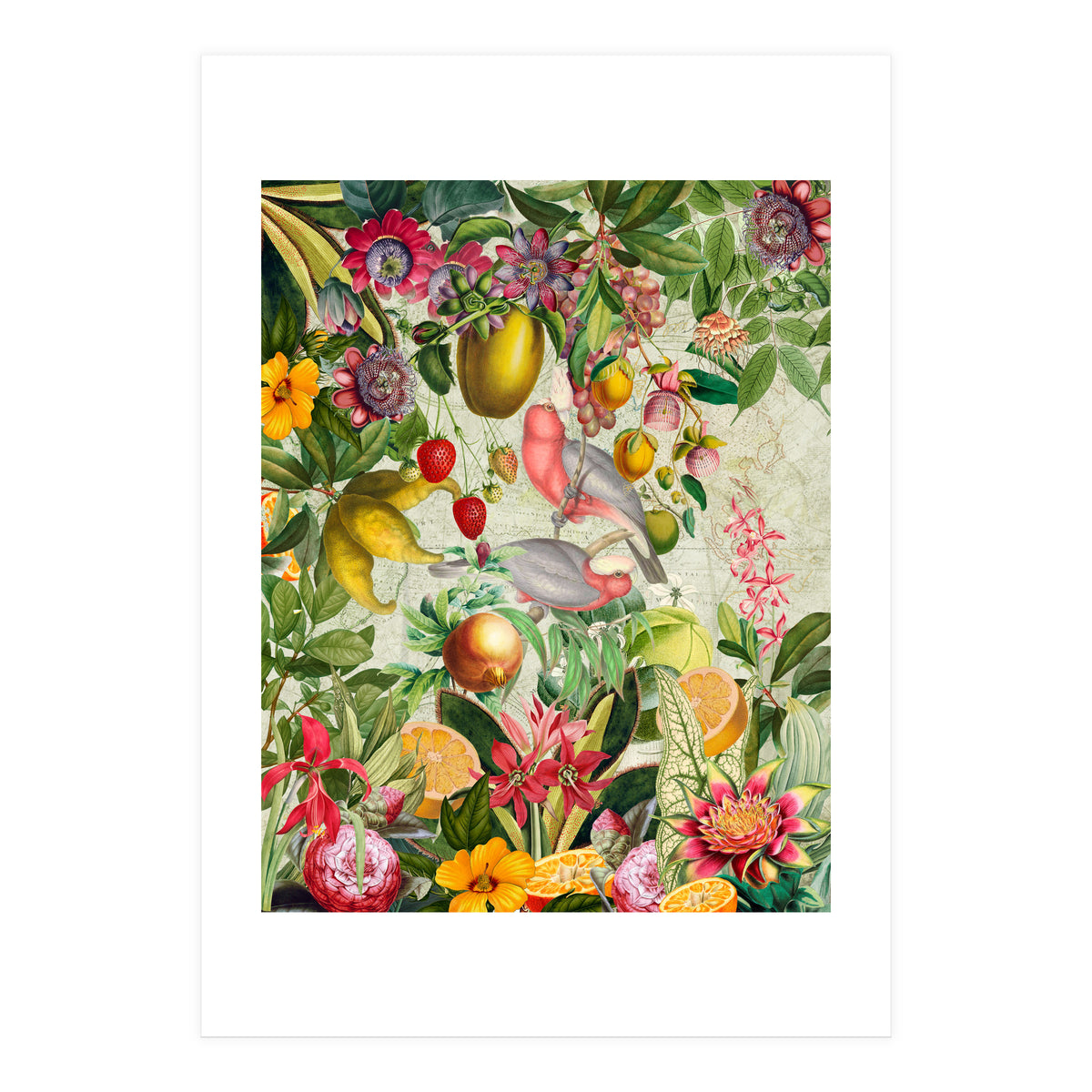 Pink Cockatoo vintage jungle  (Print Only)