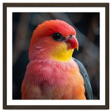Vibrant Tropical Bird thumbnail