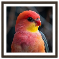Vibrant Tropical Bird
