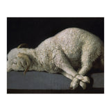 Agnus Dei - ca.1635-40 - oil on canvas - 37,3 x 62 cm - Spanish Baroque - NP 7293. (Print Only) thumbnail