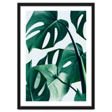 Monstera Tropical Photography Digital Art, Minimal Nature Jungle Botanical Leaves thumbnail