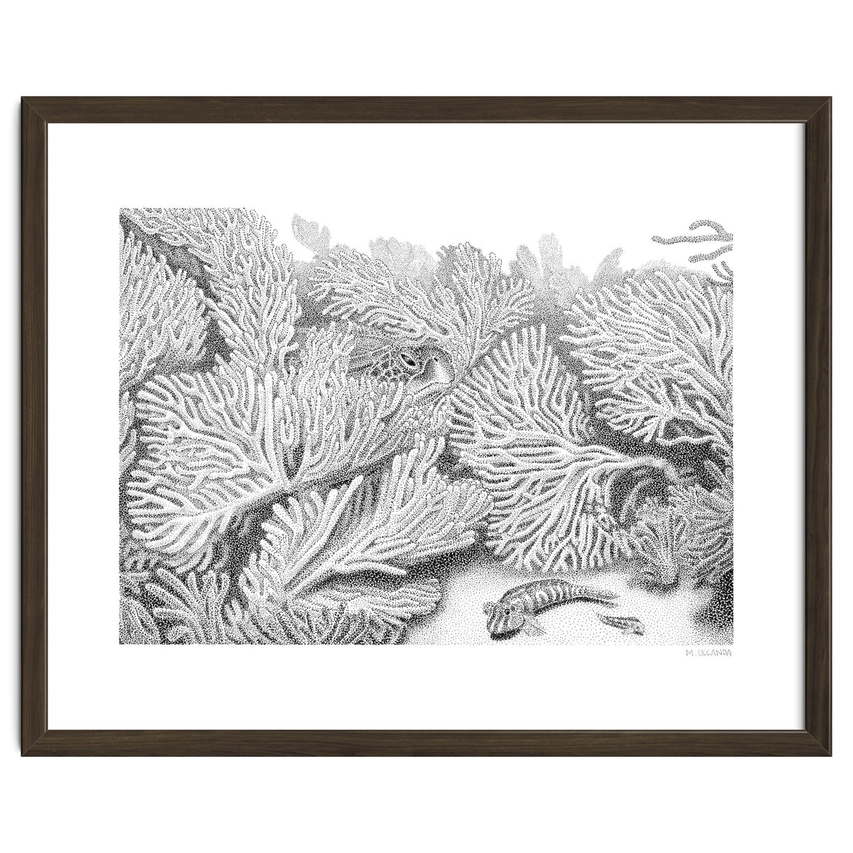 Hidden in plain sight