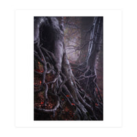 Tree roots (Print Only)