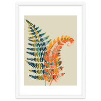 Colorful Fern Leaves