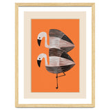 Tangerine Flamingos thumbnail