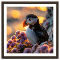 Puffin Bird Amidst Purple Flowers Golden Hour