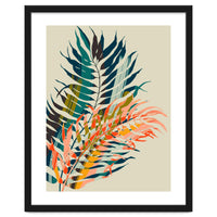 Colorful Palm Leaves