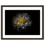Backyard Flowers No 25 Color Flow Version thumbnail
