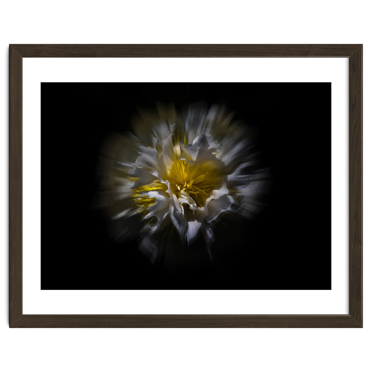 Backyard Flowers No 25 Color Flow Version