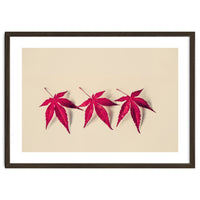 Dancing Leaves
